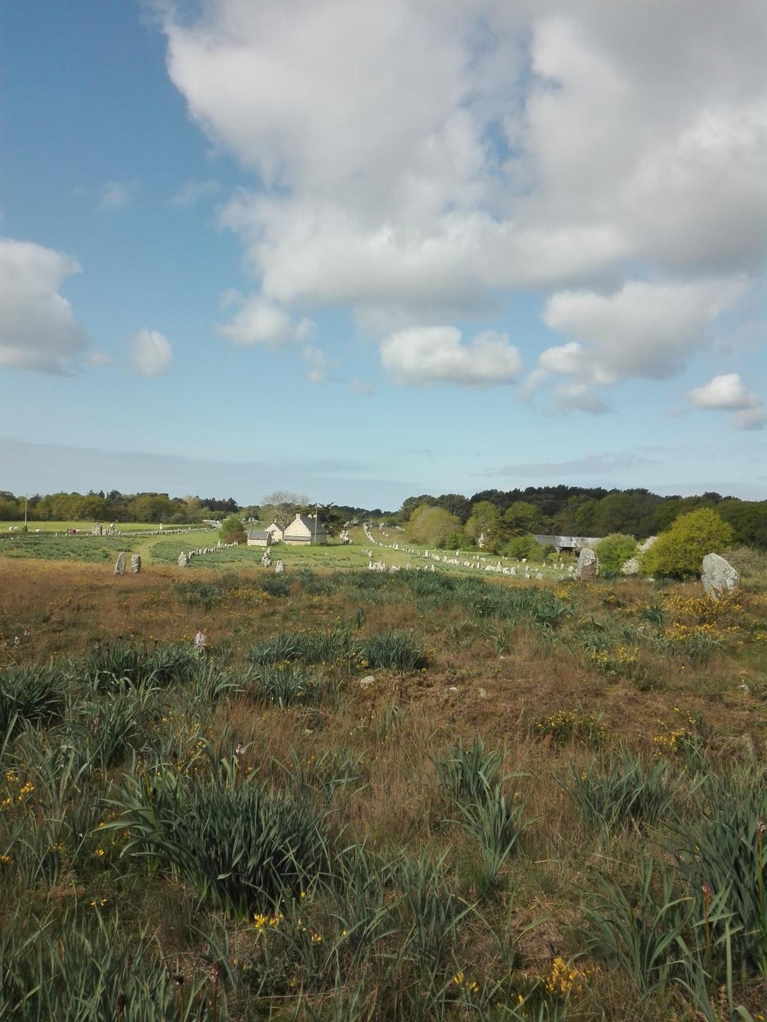 Grand Studio Duplex Avec Jardin La Trinité-sur-Mer Esterno foto